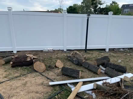 Photo of free Wood (South Floral Park) #2