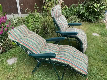 Photo of free Sun Loungers (Hertford SG14) #1