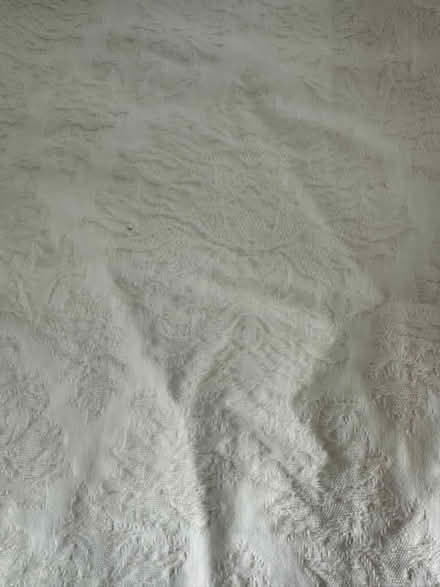 Photo of free Cream jacquard pattern curtains (Burton green) #3