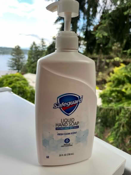 Photo of free Hand soap (Lake City) #1