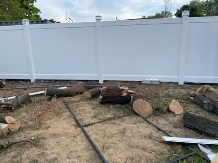 Photo of free Wood (South Floral Park) #1