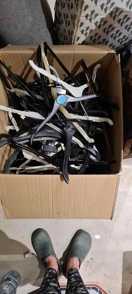 Photo of free Hangers (Charmouth DT6) #1