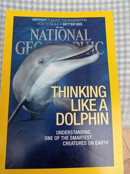 Photo of free National Geographic Magazines (East Hunsbury) #1