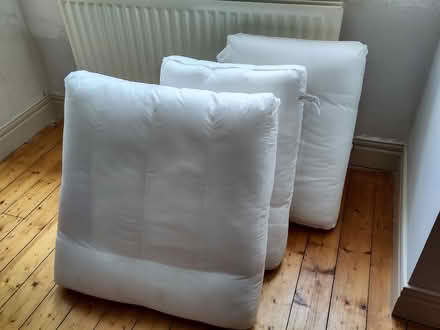 Photo of free Hollow Fibre Cushion Inserts For A Sofa or dog bedding (Rothbury NE65) #1