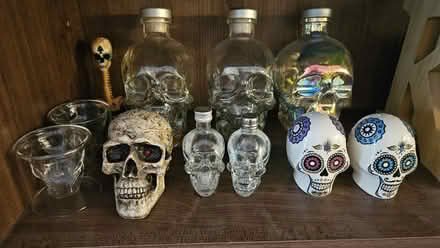 Photo of free Skull knick knacks (Reading RG1) #1