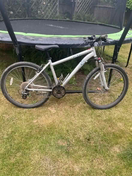 Photo of free Specialized Ladies Mountain Bike (KT7 Thames Ditton) #1