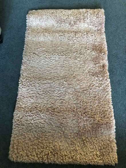 Photo of free Small rug (HP3) #1