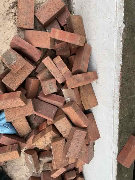 Photo of free Well maintained yard bricks (South Floral Park) #1