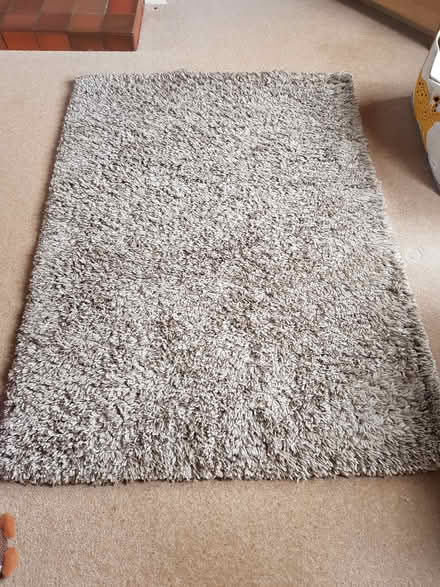 Photo of free Neutral rug (Exeter, Beacon Heath) #1
