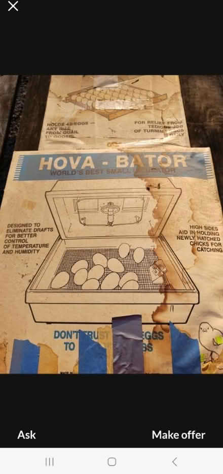 Photo of free egg incubator (Dc) #1