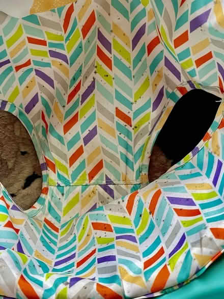 Photo of free Baby Items (BH23) #2