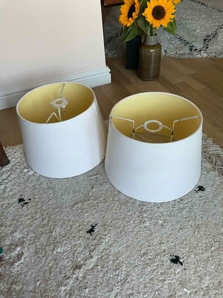 Photo of free 2 x lampshades (Clapton E5) #1
