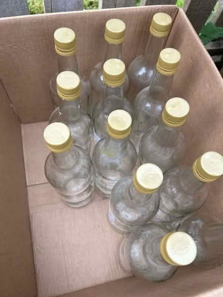 Photo of free Glass bottles (Northmoor OX29) #1