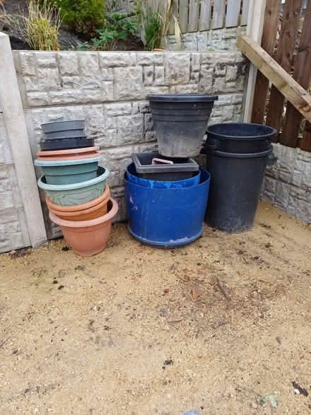 Photo of free Planters and pots (Sacriston DH7) #1