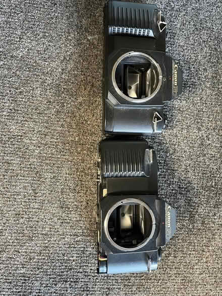 Photo of free Canon T-50 camera bodies (Spring Hill) #1