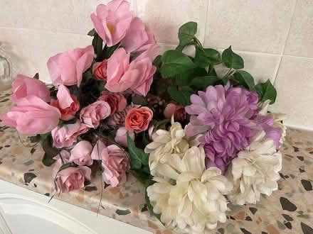 Photo of free Artificial flowers (Oxford, near Cowley Rd. Tescos) #2
