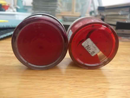 Photo of free Jars of shoe cream - dark red and scarlet (New Marston OX3) #2
