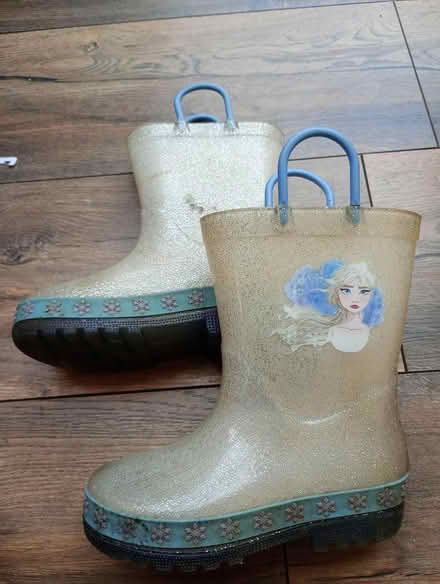 Photo of free Wellies size 10 (OX4 Greater leys) #1