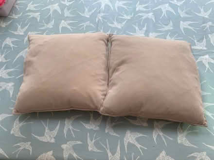 Photo of free 2 pale cushions (South Wimbledon- SW19) #1