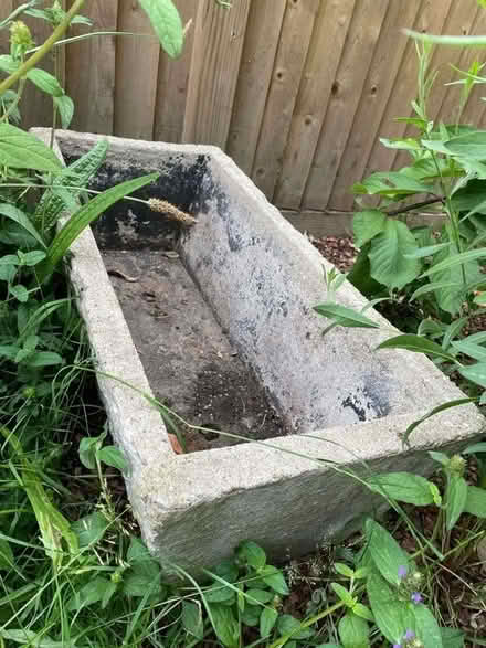 Photo of free Cement planter (Tottenham, N17 0) #1