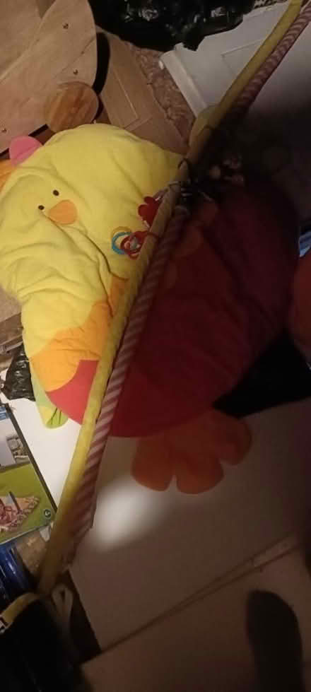 Photo of free Playmat (SE3 Blackheath) #1