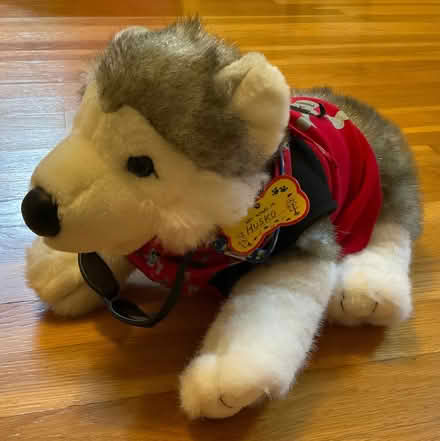 Photo of free Build-a-Bear Husky (North Billerica) #1