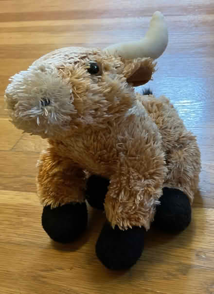 Photo of free Stuffed bull (North Billerica) #1