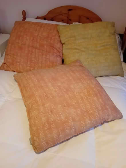 Photo of free 3 large floor cushions (Brookhouse) #1