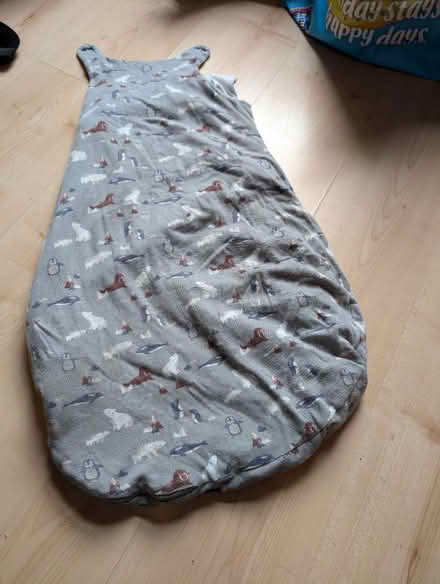 Photo of free 12-18 months sleeping bag (Normanton, Derby) #1