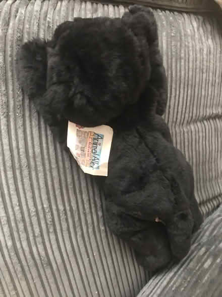 Photo of free Panther teddy (Tooting Broadway) #1
