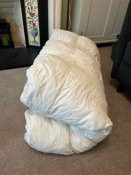 Photo of free Lovely fluffy luxury down duvet (Coulsdon, CR5) #1