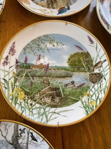 Photo of free Decorative plates (Eureka) #1