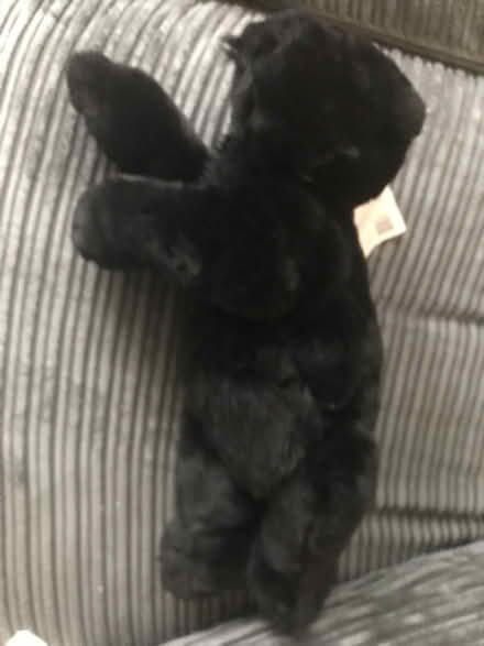Photo of free Panther teddy (Tooting Broadway) #2