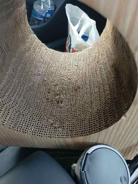 Photo of free Cat scratching tunnel (Wootton, Bedford MK43) #4