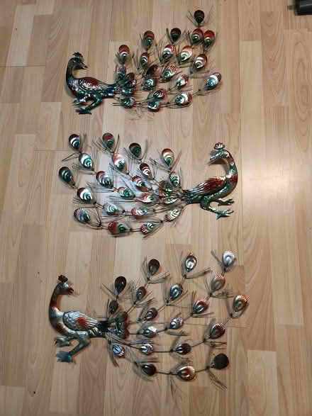 Photo of free Decorative Metal Peacocks (Kennedy and Huntingwood) #1