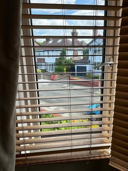Photo of free Wood type Venetian blinds (Allerton L18) #2