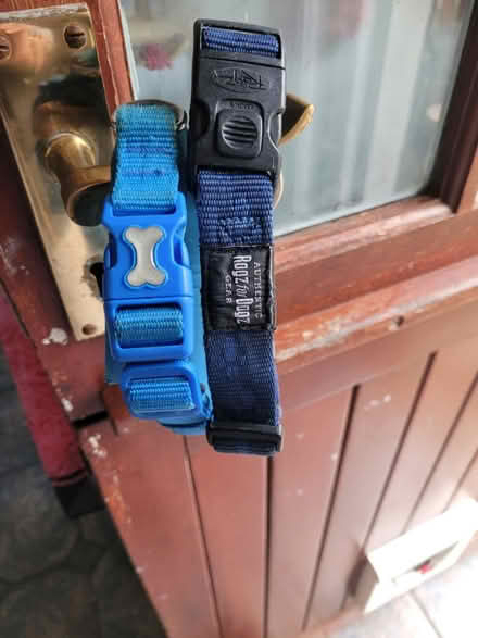 Photo of free 4 dog collars, adjustable, blue, red, purple (West End LA3) #1