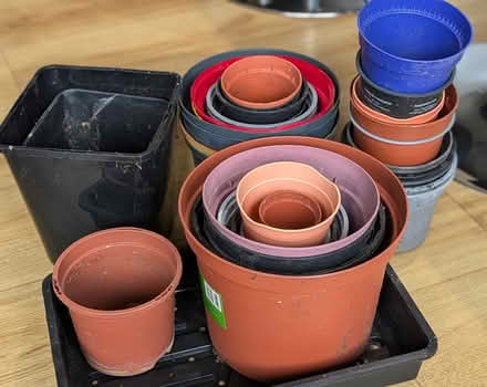 Photo of free Collection of plastic plant pots (Welwyn Garden City AL8) #1