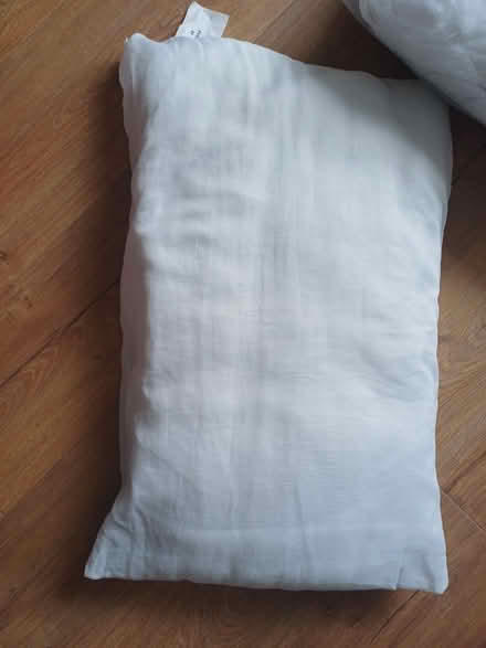 Photo of free Pillows (Stone Cross BN23) #2