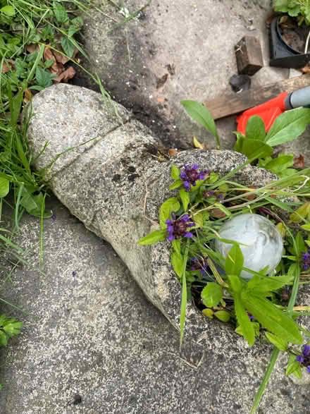 Photo of free Garden plant pots (PR2) #3