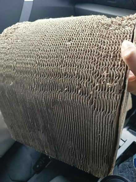 Photo of free Cat scratching tunnel (Wootton, Bedford MK43) #2