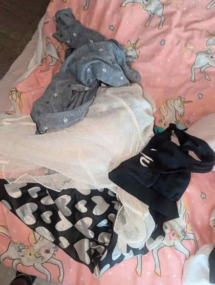 Photo of free Random clothes women size 14 (SE5) #4