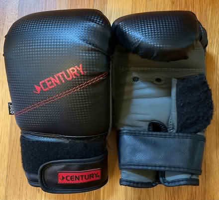 Photo of free Kung Fu gloves (North Billerica) #1