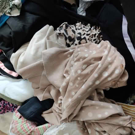 Photo of free Women clothes and shoes bundle (SW12) #1