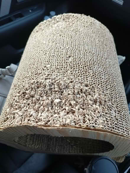 Photo of free Cat scratching tunnel (Wootton, Bedford MK43) #3