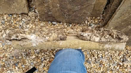 Photo of free Large paving slabs (Bathampton) #4