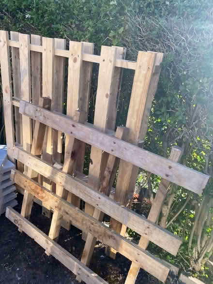 Photo of free Pallet (WV3) #1