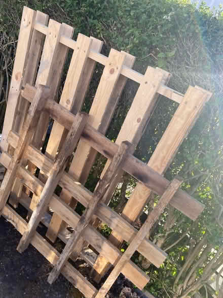 Photo of free Pallet (WV3) #2