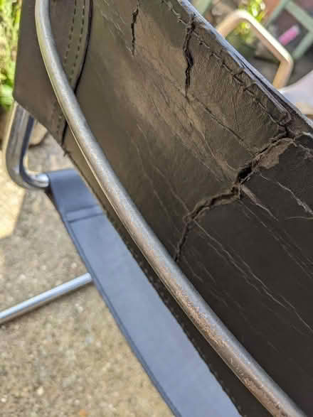 Photo of free Habitat Dining Chair (Market Harbourough) #2