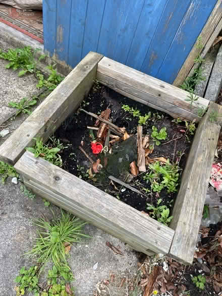 Photo of free Garden plant pots (PR2) #1